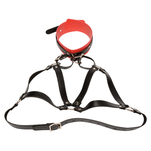 BDSM Bondage Restraint Kit - Training Collar & Bra Harness Set