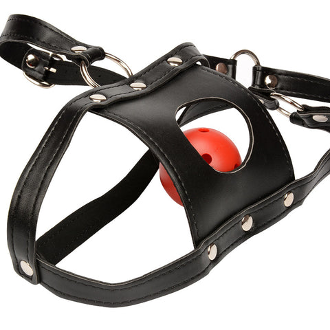 BDSM Fetish Head Harness with Gag / Submissive Bondage Mask