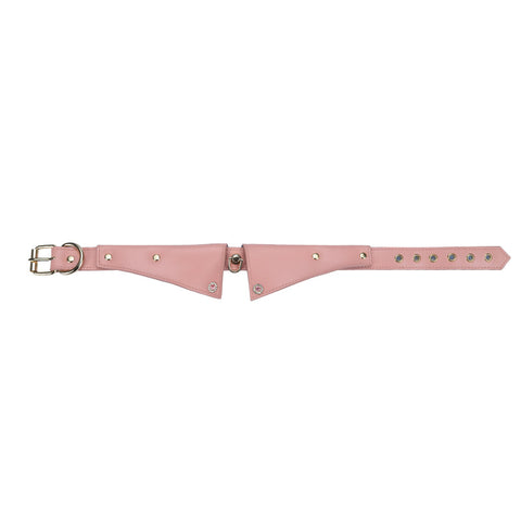 BDSM Premium Faux Leather Bondage Collar & Leash - Pink